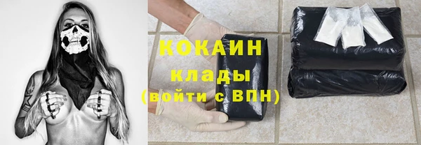 прущие грибы Бронницы