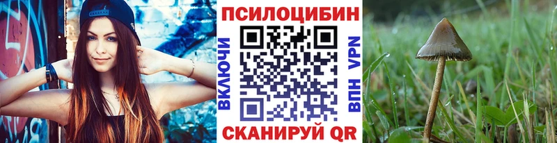 Псилоцибиновые грибы Cubensis  hydra зеркало  Горбатов  дарнет шоп 
